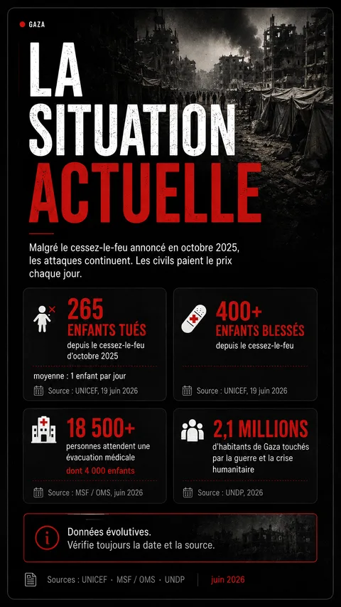 Affiche Gaza : la situation actuelle.